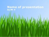 Peaceful Green Field