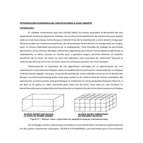 OPTIMIZACION ECONOMICA A CIELO ABIERTO 
