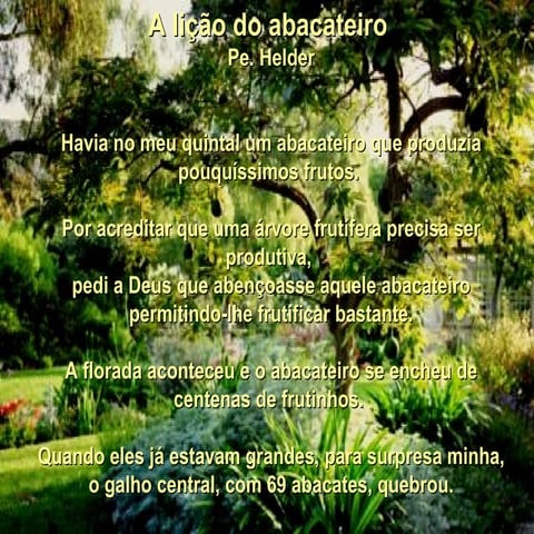 73311 A Licao Do Abacateiro