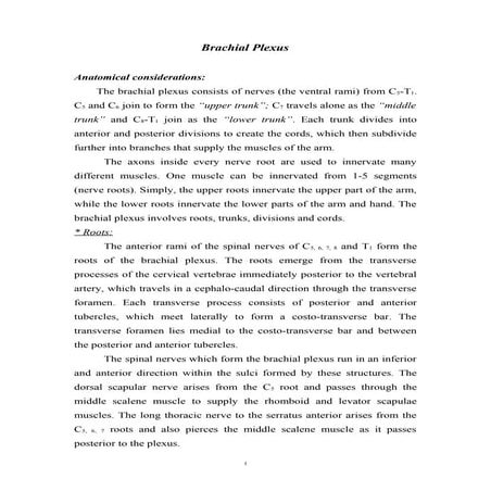 Brachial plexus detailed lecture