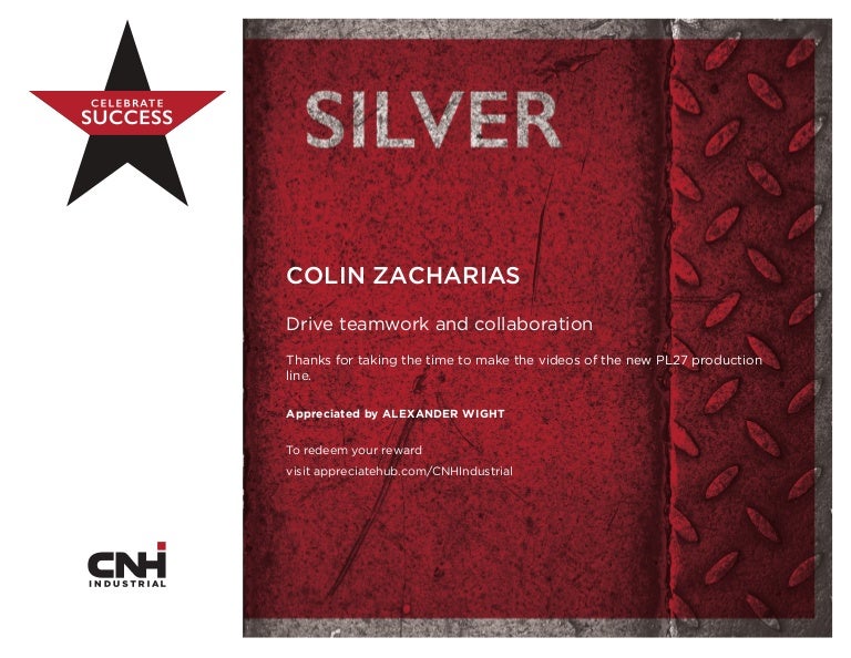 Silver Award