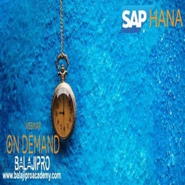 SAP HANA / S4HANA WEBINAR