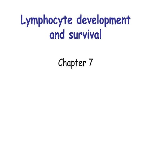 7394415-Lymphocyte-Development power point