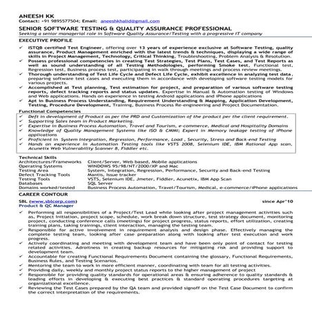 aneeshSeniorTestProfessional