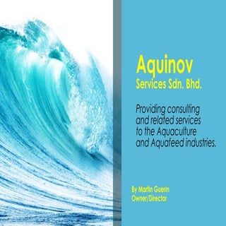 Aquinov Services Presentation.pptx
