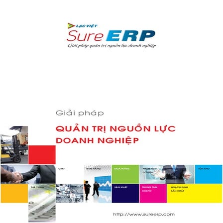 Brochure Giai phap ERP | PDF