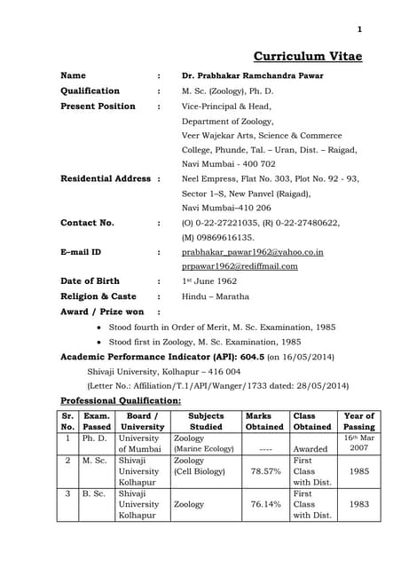 CURRICULUM VITAE