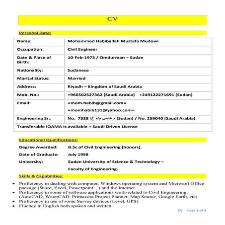 Bahiru CV.reviseduped | PDF