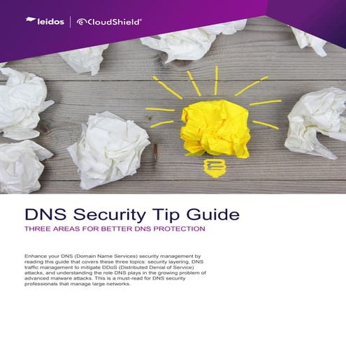 Cloudshield_DNS Tips_032014