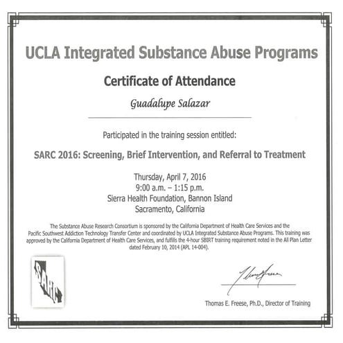 SBIRT Training Certificate of Attendance | PDF