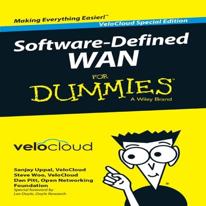 SDWAN for Dummies