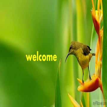 media in communication