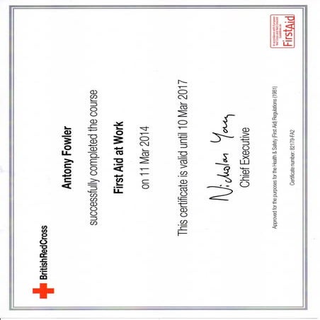 First Aid at Work | PDF