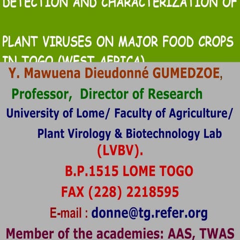 Detection and characterization of plant viruses on major food crops in togo ...
