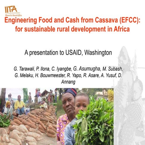 Engineering Food and Cash from Cassava (EFCC):for sustainable rural developme...