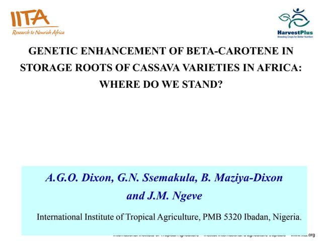 GENETIC ENHANCEMENT OF BETA-CAROTENE IN STORAGE ROOTS OF CASSAVA VARIETIES IN...
