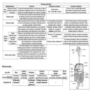 7 5 o-sistema_digestorio