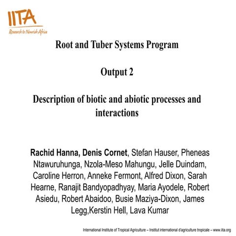 Root and Tuber Systems Program