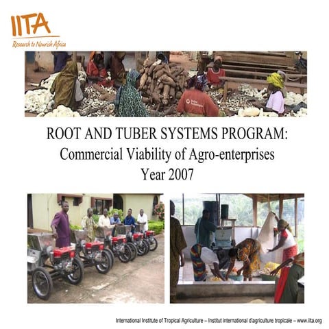 ROOT AND TUBER SYSTEMS PROGRAM: Commercial Viability of Agro-enterprises Year...