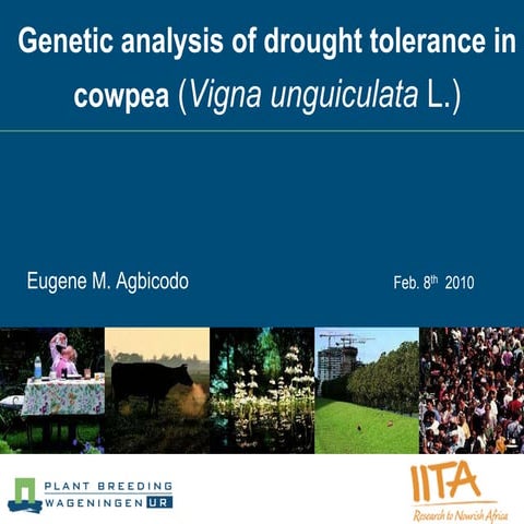 Genetic analysis of drought tolerance in cowpea (Vigna unguiculata L ...