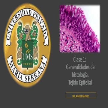 753419999-7-Generalidades-y-Tejido-Ep BNB MNBJMitelial.pptx