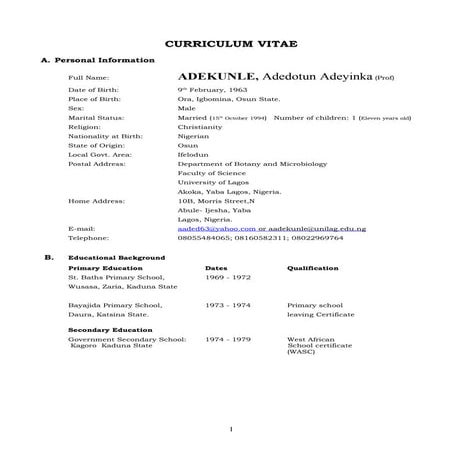 adekunle_VITAe[1] | DOC