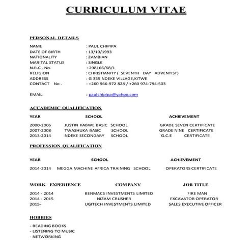 Curriculum vitae PAUL CHIPIPA