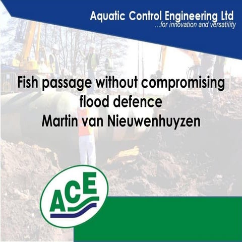 ACE Fish passage at flood defences