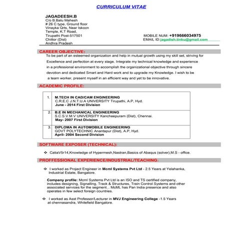 Curriculum vitae- Companies resume