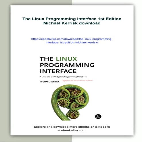 The Linux Programming Interface 1st Edition Michael Kerrisk | PDF