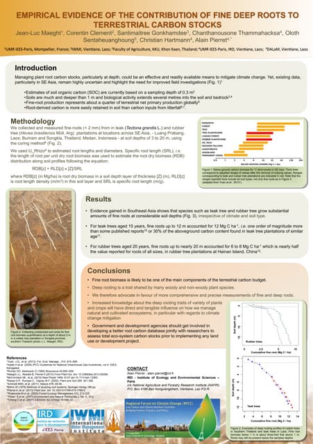 Measuring Individual Tree Height and Crown Diameter for Mangrove Trees ...