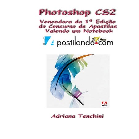 75 apostila completa de phososhop cs2   cópia (25)