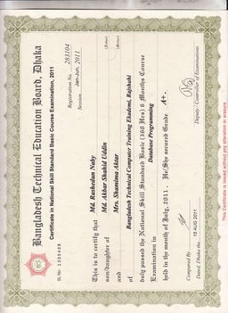 Certificate of Diploma in Engineering | PDF