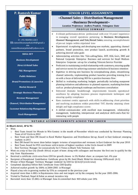 Individual Talent Profile Template | PDF | Business | Business and Finance