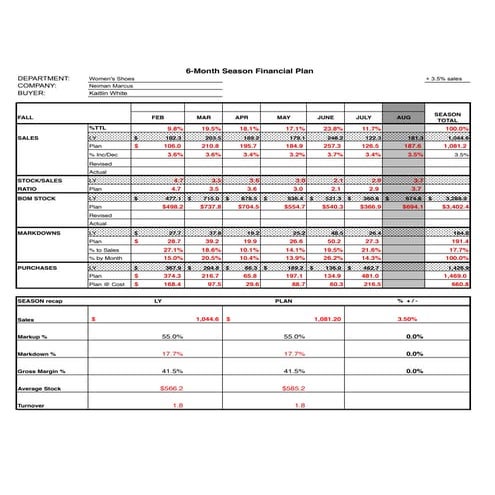 6 Month Financial Plan FINAL 3.5, 1044