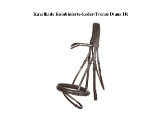 BIG PROMO Kavalkade Kombinierte-Leder-Trense Diana IR 