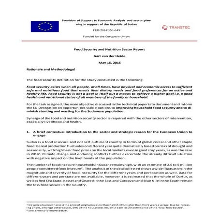 FINAL REPORT FSN long version 16 may