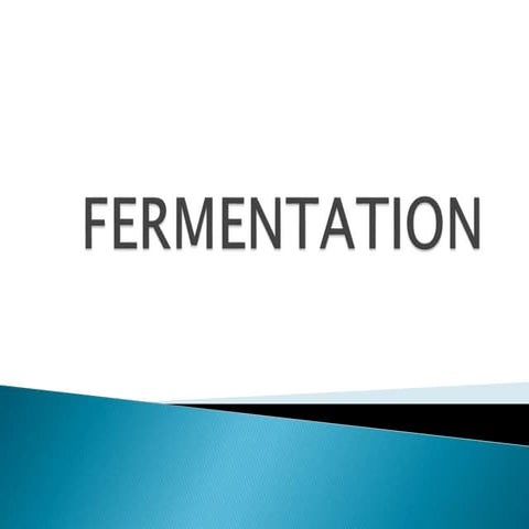 Fermentation of the Food products in history