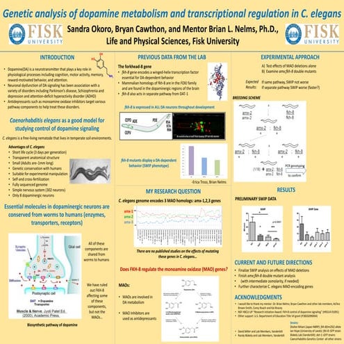 Sandra Okoro - TTU Poster 2-23-15
