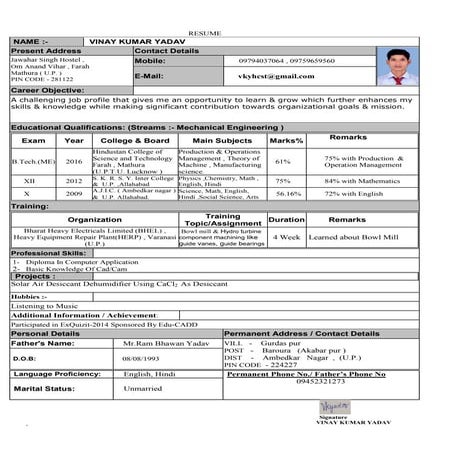 VINAY KUMAR YADAV RESUME | PDF