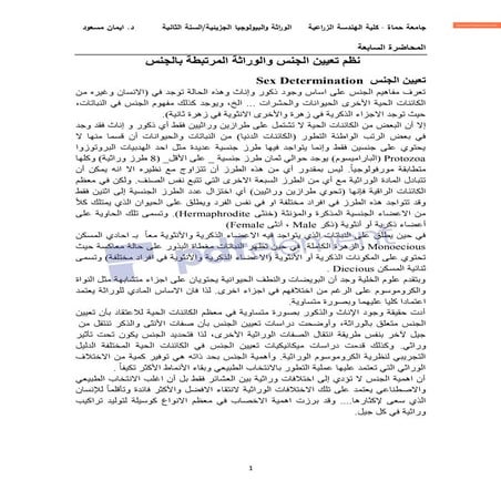 7م7-المحاضرة-السابعة-وراثة-وبيولوجيا-جزيئية-Copy.pdf