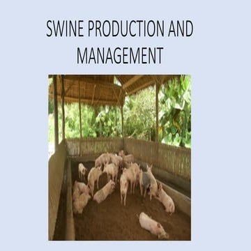 775420115-SWINE-PRODUCTION-AND-MANAGEMENT-Lec-1.pptx