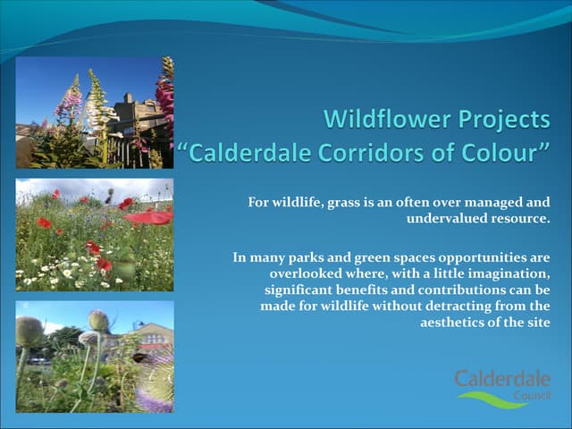 Grow Wild Project