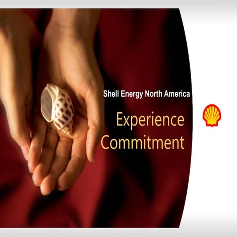 Shell company | PPTX