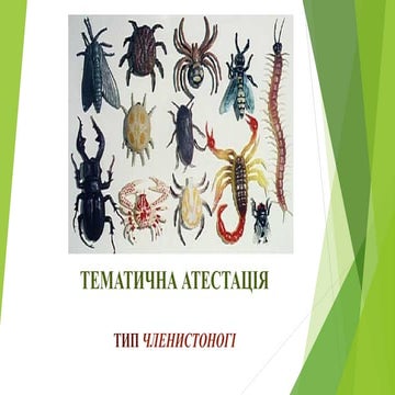 Тема "Членистоногі"