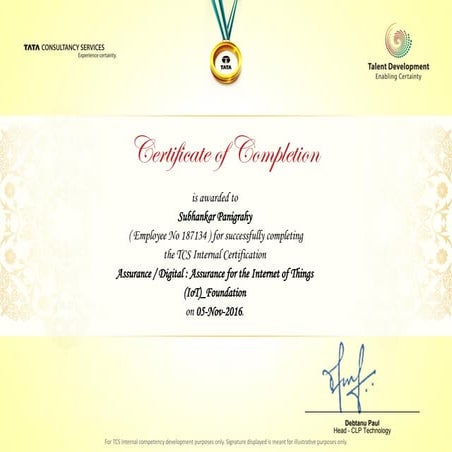 187134_Assurance - Digital - Assurance for the Internet of Things E-certficate