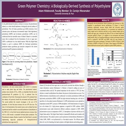 Green-PE Maroon presentation