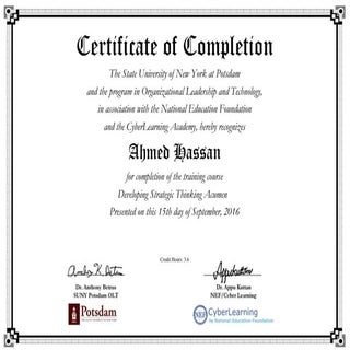 Developing strategic thinking acumen