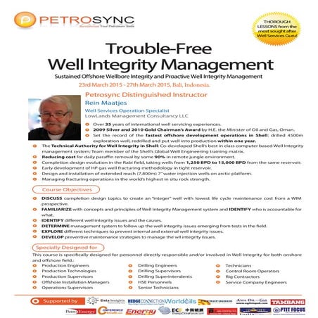 WELL INTEGRITY MANAGEMENT | PDF