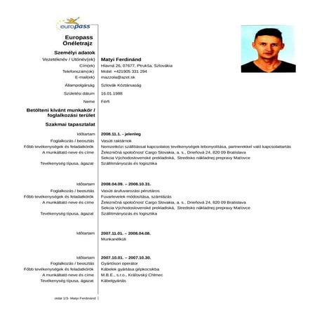 Cv makedonski | PDF